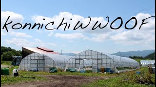 konnichiWWOOF  WWOOFing in Japan [upl. by Nyledam]