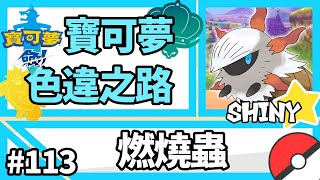 寶可夢劍盾【色違之路】 113【燃燒蟲】小豪會不會來偷我寶可夢『Pokemon Sword amp Shield』 [upl. by Peirce972]