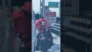 Super cute pomeranian back ride in motorcycle along expresswayfypviralvideopomeraniandoglover [upl. by Colley142]