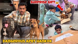 Mini Zoo Ke Liye Surprise Gift Aagya😱 Apbt Hankok Ko Khabisi Se Milaya [upl. by Prasad]