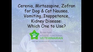 Cerenia Mirtazapine Zofran Dog amp Cat Nausea Vomiting Inappetence Kidney Disease Which to Use [upl. by Black]