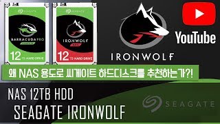 NAS 용도로 왜 씨게이트 HDD를 추천하는가 Seagate NAS HDD IRONWOLF 12TB [upl. by Kylynn]