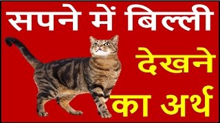 यदि सपने में बिल्ली दिखाई दें तो जाने इसका अर्थ Cat Dream Meaning interpretation in hindi [upl. by Alexandra]