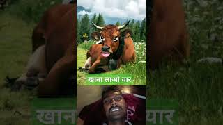 बुमरागाय🐄खानालाओरे🤪🤯🤣shortsytshortsanimalstrendingcow [upl. by Rotberg]