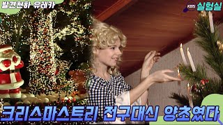 세상실험 처음에는 크리스마스 트리 전구가 아니라 양초였다 발견천하 유레카  KBS 20021225 방송 [upl. by Raknahs]