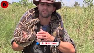 15 Crazy Times Snakes Regretted Their Choice of Prey [upl. by Elwina376]