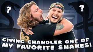 Giving one of my FAVORITE SNAKES to ChandlersWildLife [upl. by Rratsal]