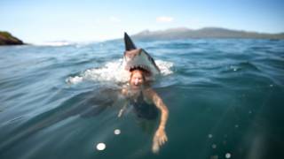 19 Foot Great White Shark Swallows Female Whole [upl. by Lesley]