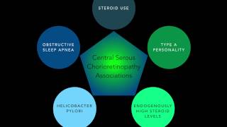 Central Serous Chorioretinopathy Part 1 [upl. by Casimire]