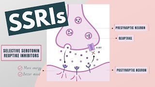 Selective Serotonin Reuptake Inhibitors SSRIs  Indications mechanism side effects [upl. by Leasia580]