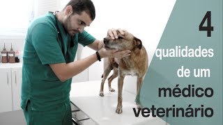 Quer ser veterinário Veja esse vídeo antes [upl. by Ritter682]