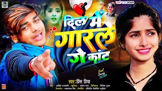 NonStop2024 दिल में गारले गे कांट  Prince Priya Bewafai gana newsadsong dard bhari गाना बेवफाई [upl. by Ashling]