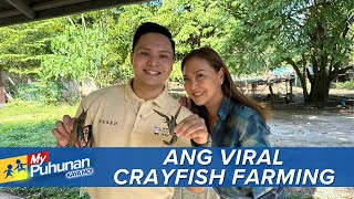 My Puhunan Kaya Mo Crayfish farming sa Santa Maria Bulacan bakit nagviral [upl. by Anul879]