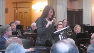 Rep Christina Hagan lobbys for passage of heartbeat bill [upl. by Koball]