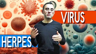 Herpes Explained 8 different DISEASES caused by HERPES [upl. by Alletneuq]