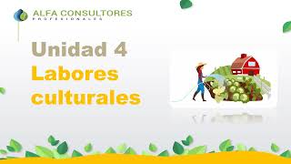 Curso de Jardinería  Módulo 4  Labores Culturales [upl. by Rexanna]