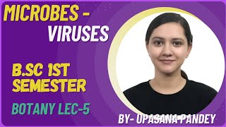 Lytic Cycle part 1  Life cycle of Bacteriophage viruses Microbes  BSc 1st semester Botany [upl. by Elyc114]