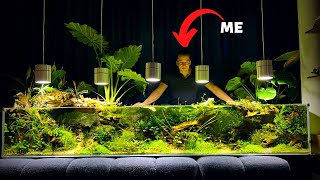 THIS 750 LITER PLANTED AQUARIUM WILL BLOW YOUR MIND [upl. by Naman891]