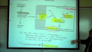 SYNAPTIC TRANSMISSION IN THE CNS PART 2 by Professor Fink [upl. by Randee]