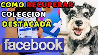 Cómo Recuperar Colección DESTACADA o historias destacadas De Facebook 2024 [upl. by Andros]