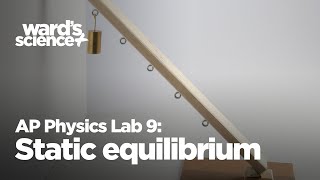 AP Physics Lab 9 Static Equilibrium [upl. by Ramahs]