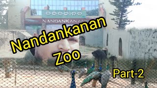 nandankanan zoo part  2 Mr Bijaya vlog 🐅🐦🐘 [upl. by Joachim]