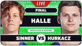 SINNER vs HURKACZ • ATP Halle 2024 Final • LIVE Tennis Watchalong Stream [upl. by Marala]