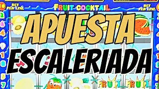 APU3STA ESCALERIADA al MÁXIMO 🤑🤑🤑 en las FRESITAS 🍓🍓🍓  Moneditas Oficial 🙂 [upl. by Llerdnek]