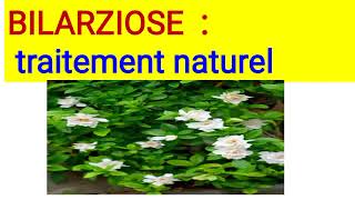 BILHARZIOSE  Traitement naturel [upl. by Felicle]