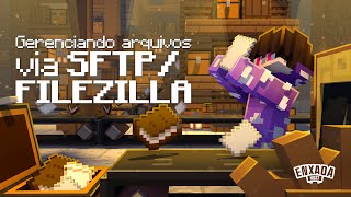 Como gerenciar os arquivos do servidor de Minecraft via SFTPFilezilla  Tutorial EnxadaHost [upl. by Malan]