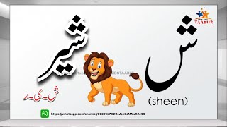 SHEEN،ش،شے،،Urdu letterBay phonics Lkglearn urdu alphabetش sheen [upl. by Ydak]