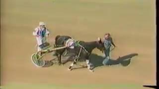 1984 Delaware County Fair HIT PARADE Jugette 1st Div Bill ODonnell World Record [upl. by Demetris444]