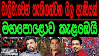 මාලිමාවෙන් තැති ගන්වන බලඇණියක් මහ පොළොව කැළඹෙයි BACKampWHILE [upl. by Ativoj89]