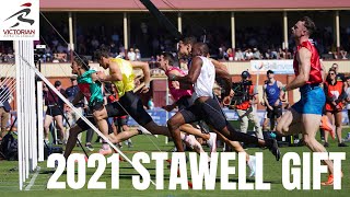 2021 Stawell Gift  800m Open [upl. by Rramal260]