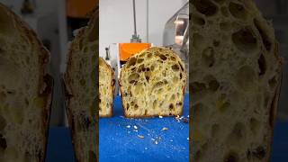 panettone process from start to finish Pick up in store or shipping available at jlpatisseriecom [upl. by Forest987]