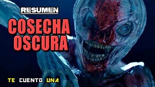 Cosecha Oscura Dark Harvest  Cuidado Con Los Espantapájaros Vivientes  RESUMEN [upl. by Gean]