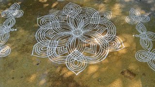 Dhanurmasam Muggu with borders sankranti Mugulu  Margazhi kolam  Pongal kolam  nelaganta mugu [upl. by Ripleigh]