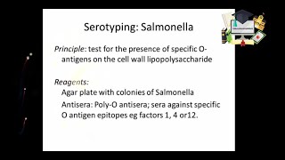 Serotyping Salmonella Handson Lab [upl. by Atilahs]