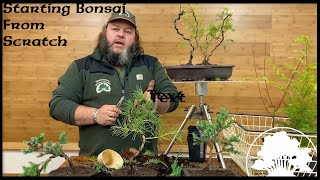 Creating Bonsai from Seedlings  Greenwood Bonsai [upl. by Yehc]