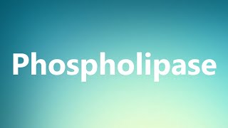 Phospholipase  Medical Definition and Pronunciation [upl. by Llerdna]