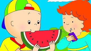 Caillou auf Deutsch neue Folgen ★ Caillou beim Picknick COMPILATION ★ HD 2018 ✔ [upl. by Nami133]