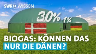 Ist Biogas eine echte Alternative zu Erdgas  SWR Wissen [upl. by Brenden]