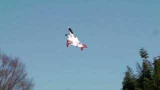 RC XK FIGHTER  X520 VTOL [upl. by Hite]