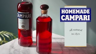 How I Made Campari From Scratch Recipe [upl. by Eikciv]