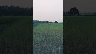 nature🏞️ of Jharkhand new come youtube song [upl. by Yelnet]