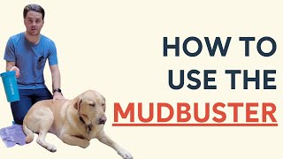 How to Use the MudBuster for a Dogs Paws [upl. by Nelag555]