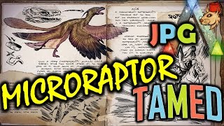 ARK MicroRaptor Explained  TAMED Ark Survival Evolved Dinosaur Spotlight [upl. by Araet]