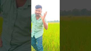 Sisir Jali Sud Re Tam Pan Baha 🌿❤️🌿  Old Santali Status Video  Santali Vairal Video Short Reel [upl. by Gudren]