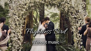 Flightless Bird American Mouth Twilight Without music only vocal [upl. by Wrand]