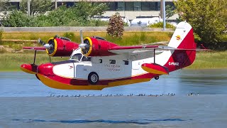 4K 80 Year Old Grumman Goose landing at CAM9  Vancouver YVR [upl. by Edwards]